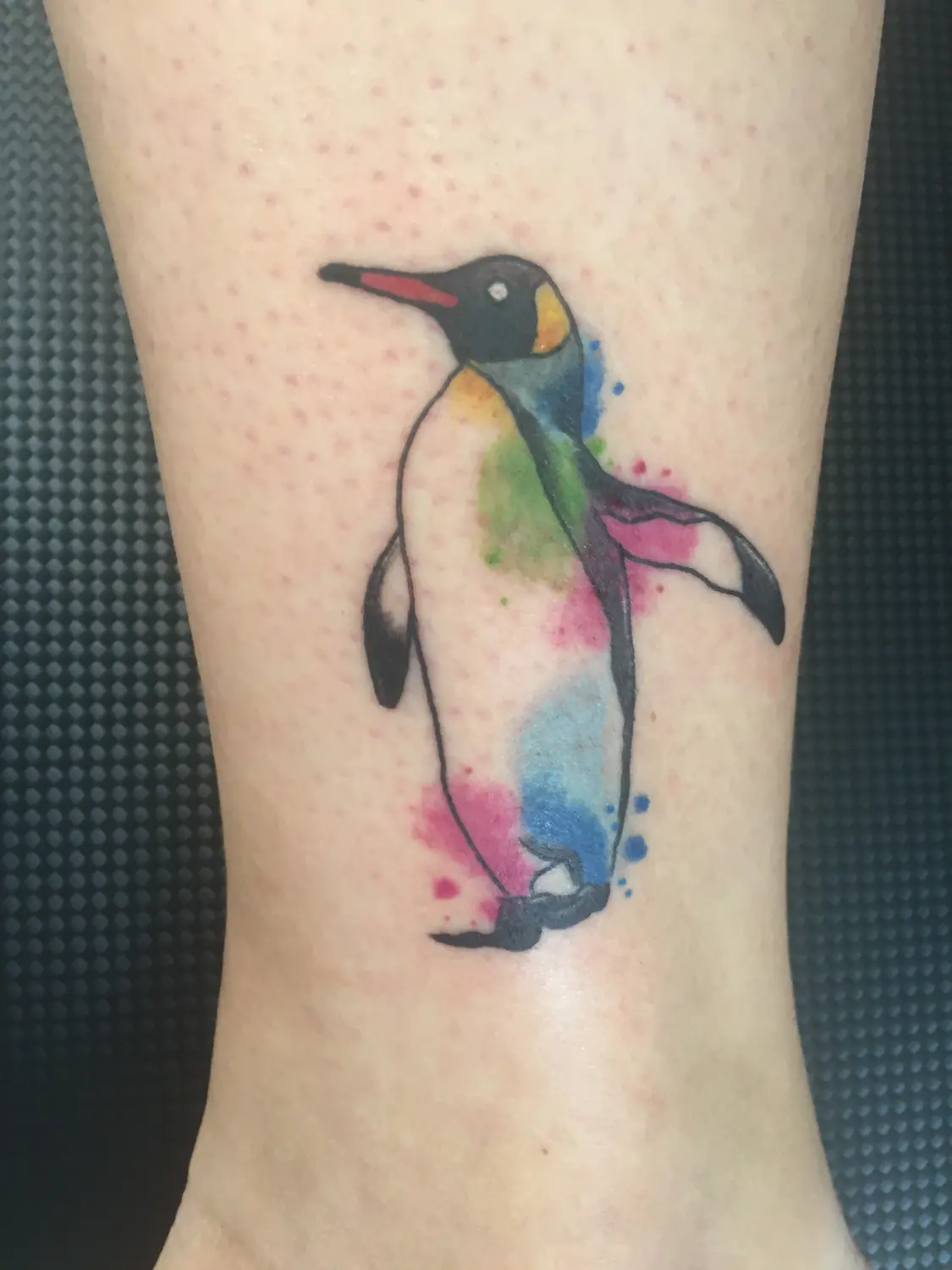 Freakline Tattoo Atelier Rene Arbeiten Pinguin Aquarell Tattoo